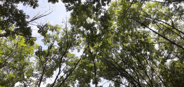 A Urbanpromo Green 2019 'il verde urbano come motore di rigenerazione cittadina'