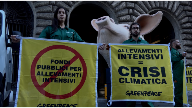 Immagine: Greenpeace in azione davanti al Ministero delle Politiche Agricole: 'Siamo in emergenza climatica, basta fondi pubblici al sistema degli allevamenti intensivi'