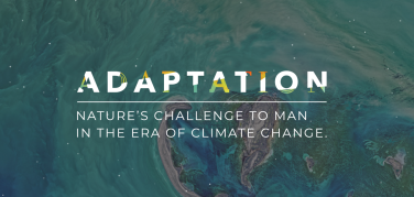 Torino. Adaptation, il 3 ottobre alla Cavallerizza un convegno sull’adattamento ai cambiamenti climatici