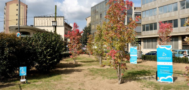 Milano Green Week. Nuovi spazi verdi in città grazie al progetto seMiniAmo