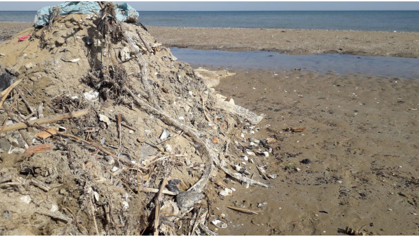 Immagine: DDL Salvamare: estensione del recupero ad altre tipologie di rifiuto oltre la plastica e alla possibilità di raccolta anche presso fiumi, laghi e lagune
