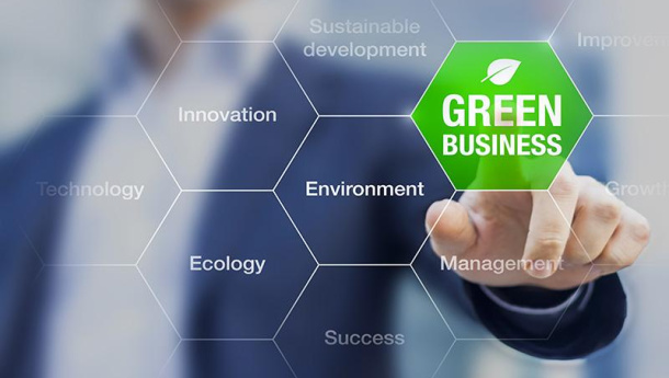 Immagine: Green Reporting, imprese italiane sotto la lente:  6 raccomandazioni per la rendicontazione e la strategia aziendale