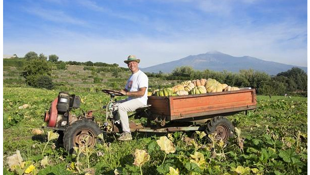 Immagine: Spreco alimentare, Fao: il 14% del cibo viene perso dopo il raccolto e prima che raggiunga gli scaffali