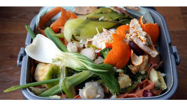 Immagine: Cic e Coldiretti: protocollo d’intesa per la rigenerazione dei suoli con buone pratiche, a partire dalla raccolta differenziata