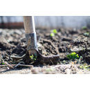 Immagine: Biologico, Italia al primo posto in Europa: il 15,5% della superficie agricola è bio e sostenibile