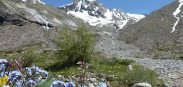 Casa Comune dal 22 al 24 novembre presenta ‘Il mondo che scompare. La biodiversità naturale e sociale a rischio di scomparsa’