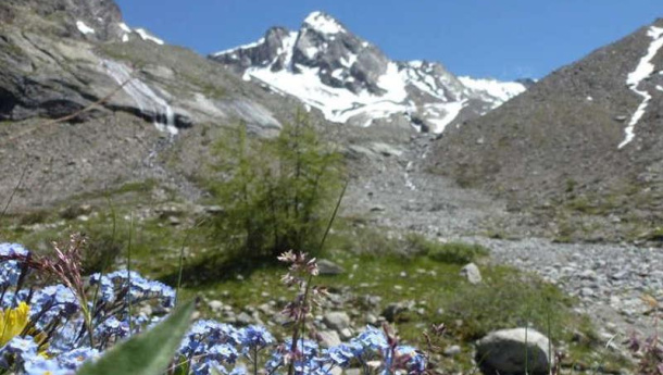 Immagine: Casa Comune dal 22 al 24 novembre presenta ‘Il mondo che scompare. La biodiversità naturale e sociale a rischio di scomparsa’