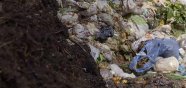 La bioplastica compostabile che non si composta. Colpa del prodotto o dell’impianto di compostaggio? Inchiesta/2