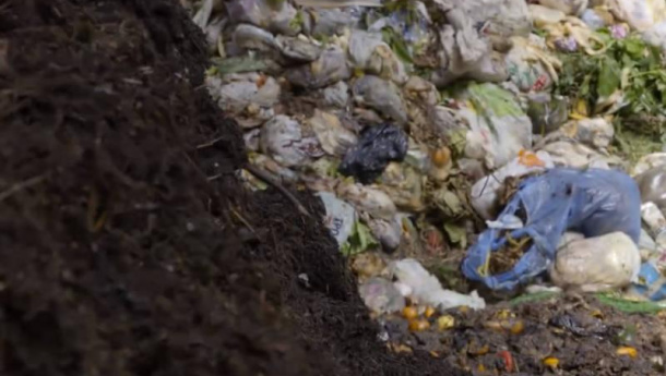 Immagine: La bioplastica compostabile che non si composta. Colpa del prodotto o dell’impianto di compostaggio? Inchiesta/2