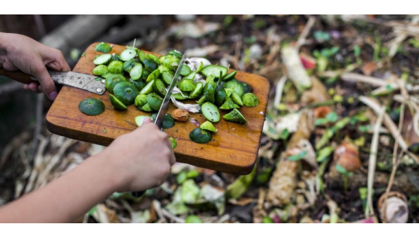 Immagine: Bioeconomia dei rifiuti organici e delle biomasse: al via l’11° Master del CNR in collaborazione con il CIC