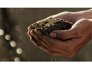 'Ferma l'erosione del suolo, salva il nostro futuro': il 5 dicembre è il World Soil Day 2019