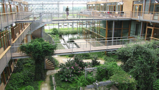 Immagine: Pubblicato l’UI GeenMetric che misura le università più sostenibili del pianeta. Prima delle italiane l’Alma Mater di Bologna al 12° posto