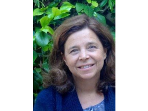 Cittadini per l’Aria: ‘Giusto il blocco totale a Milano ma Sala deve avere più coraggio e anticipare i tempi di Area B’