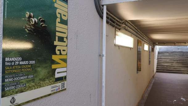 Immagine: 'InNaturali', percorso fotografico per riflettere sullo stato dell’ambiente fino al 20 marzo alla stazione di Brandizzo (TO)