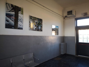 'InNaturali', percorso fotografico per riflettere sullo stato dell’ambiente fino al 20 marzo alla stazione di Brandizzo (TO)