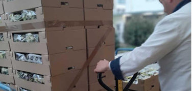 La lotta allo spreco alimentare non si ferma. Milano Ristorazione dona 3 tonnellate al Terzo settore