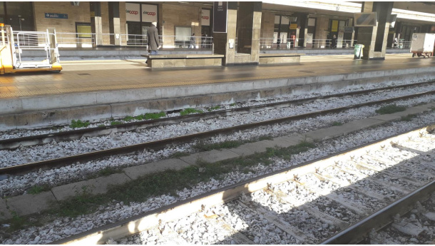 Immagine: Emergenza Coronavirus: servizio flessibile per i treni regionali del Piemonte
