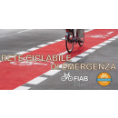 Immagine: Coronavirus, Fiab e Salvaiciclisti: la bici è il mezzo ideale per ripartire. Proposta una rete ciclabile d'emergenza per Roma