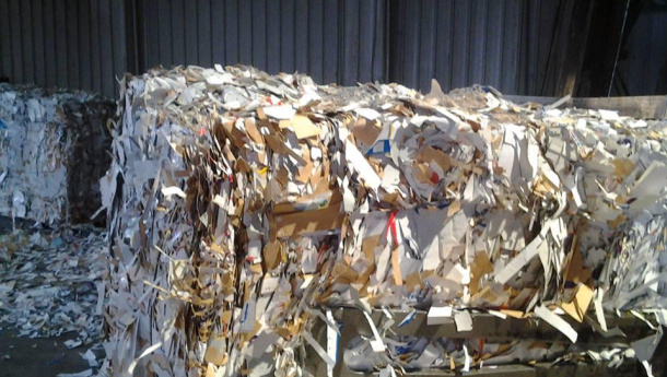Immagine: Assocarta e Legambiente chiedono al Governo di riconoscere riciclo e raccolta della carta come attività essenziali