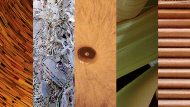 Immagine: Il futuro della filiera della carta tra economia circolare e bioeconomia