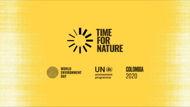 Immagine: Il 5 giugno è la Giornata Mondiale dell'Ambiente, quest'anno dedicata alla biodiversità