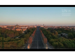 Il 5 giugno è la Giornata Mondiale dell'Ambiente, quest'anno dedicata alla biodiversità