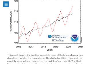 Clima, a maggio record mondiale di caldo e di gas serra: il lockdown non è bastato a ridurre la CO2