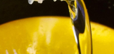 Piemonte e Conoe firmano protocollo per la raccolta degli oli esausti