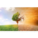 Immagine: Il Senato approva mozione di maggioranza sulle iniziative per affrontare l’emergenza climatica | Testo completo