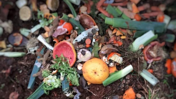 Immagine: La gestione dei rifiuti organici, un potenziale non sfruttato nell'Unione Europea