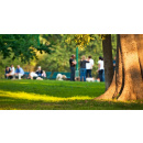 Immagine: Città e cambiamenti climatici, PEFC: 6 motivi per curare gli alberi e piantarne di nuovi