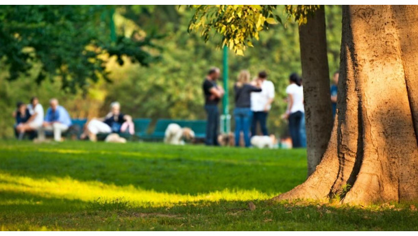 Immagine: Città e cambiamenti climatici, PEFC: 6 motivi per curare gli alberi e piantarne di nuovi