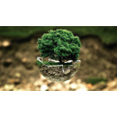 Immagine: Sostenibilità ambientale e impegno sociale: quando il calcio è molto più di uno sport