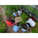 Immagine: Con l'Orto in Condotta Slow Food si aggiudica il Premio della Settimana europea per la riduzione dei rifiuti