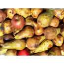 Immagine: Covid19, montagne di cibo sprecato mentre aumenta la povertà. E si teme un’impennata di metano in atmosfera