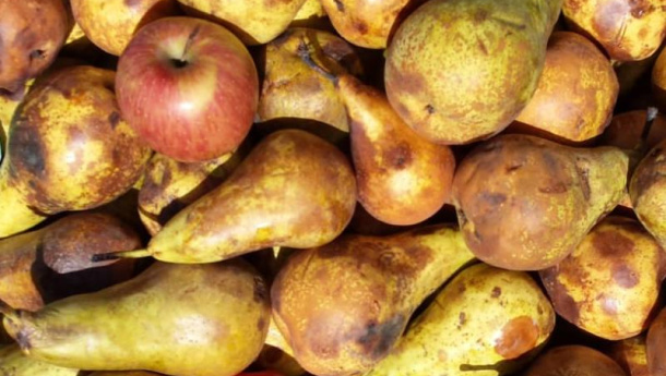 Immagine: Covid19, montagne di cibo sprecato mentre aumenta la povertà. E si teme un’impennata di metano in atmosfera