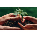 Immagine: Amsa. Il 4 luglio a disposizione gratuitamente dei milanesi 2,8 tonnellate di compost