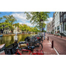 Immagine: Le nazioni del Benelux alla Commissione Ue: la bicicletta diventi la 'cura dei trasporti' nel post coronavirus