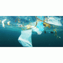 Immagine: Trapani, si torna indietro: il Tar annulla l'ordinanza plastic-free del 2019