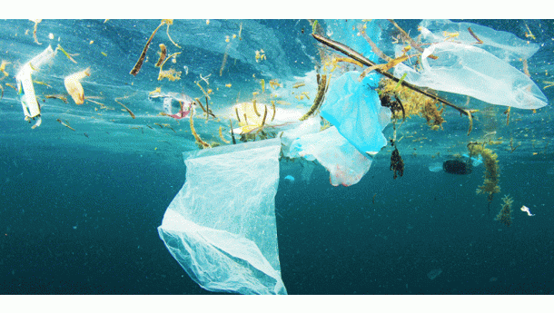 Immagine: Trapani, si torna indietro: il Tar annulla l'ordinanza plastic-free del 2019