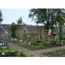 Immagine: Milano, food policy: oltre 100 orti didattici nelle scuole, pubblicate le linee guida per crearli