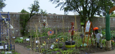 Milano, food policy: oltre 100 orti didattici nelle scuole, pubblicate le linee guida per crearli