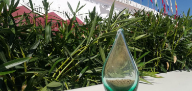 La Mostra del Cinema di Venezia 2020 si colora di verde con il #GreenDropAward