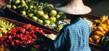 Cibo e clima, la trasformazione dei sistemi alimentari può ridurre del 20% le emissioni globali