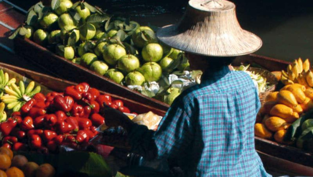 Immagine: Cibo e clima, la trasformazione dei sistemi alimentari può ridurre del 20% le emissioni globali