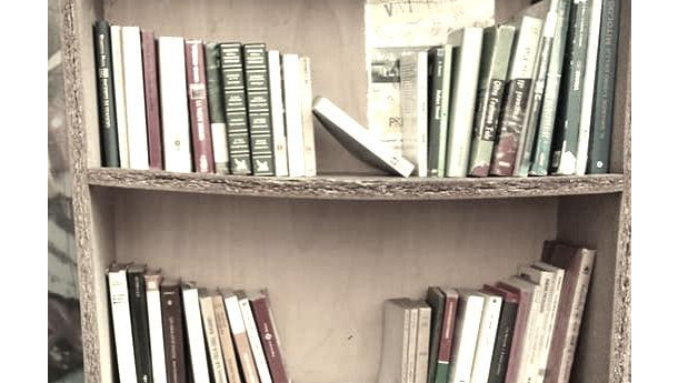 Immagine: Festival dello Sviluppo Sostenibile: nasce Libri in Agenda