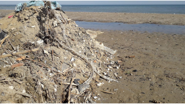 Immagine: I valori soglia dei rifiuti spiaggiati stabiliti dall'Europa per definire una spiaggia pulita