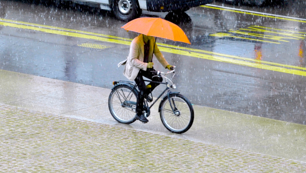 Immagine: Anna Donati, Kyoto Club: 'All'Italia serve un piano industriale per la mobilità sostenibile'