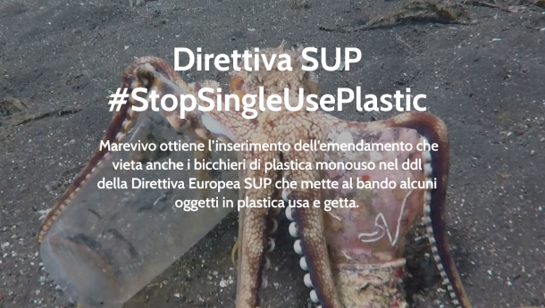 Immagine: Direttiva SUP: l'Italia potrebbe vietare anche i bicchieri in plastica monouso