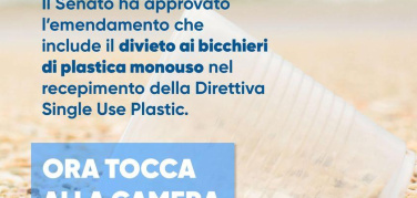 Plastica monouso. Recepimento direttiva SUP: Senato approva emendamento per vietare bicchieri usa e getta